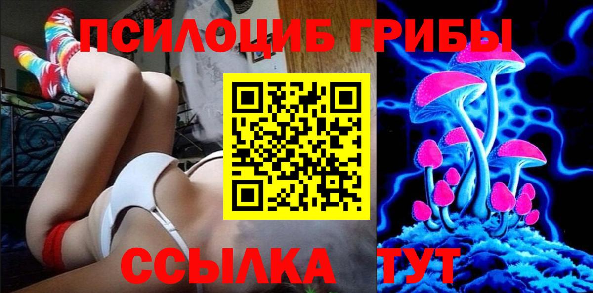 Псилоцибиновые грибы мицелий Сибай