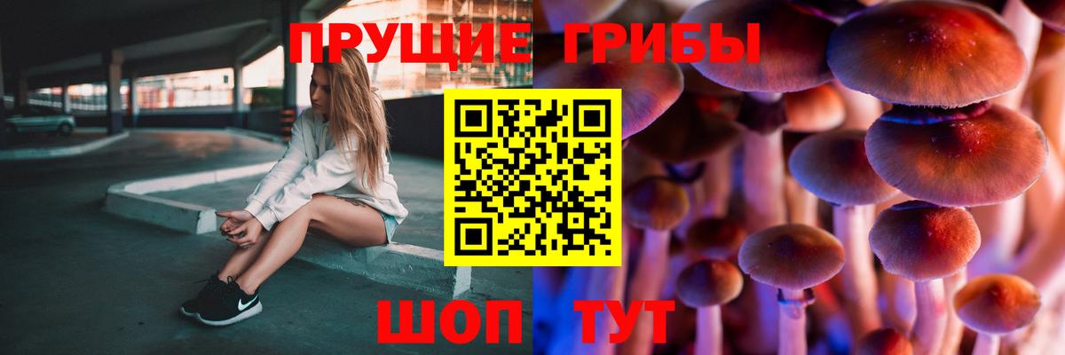 Галлюциногенные грибы ЛСД  Псилоцибиновые грибы MAGIC MUSHROOMS  где можно купить наркотик  Вход с VPN  Сибай 